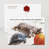 CARTE POSTALE CHAT, TORTUE ET BASKETBALL (Devant / Derrière)