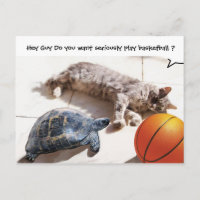 CHAT, TORTUE ET BASKETBALL