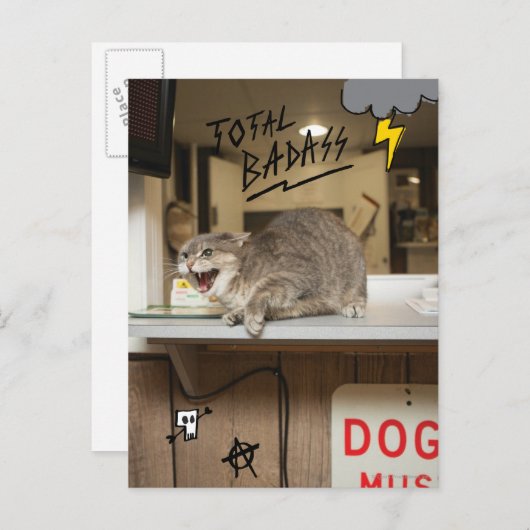Carte Postale Chat total Badass (Devant / Derrière)