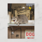 Carte Postale Chat total Badass (Devant)