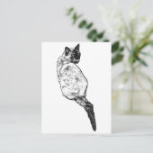 Carte Postale Chat Tranquille, Salutations Douces (Debout devant)