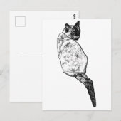 Carte Postale Chat Tranquille, Salutations Douces (Devant / Derrière)