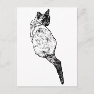 Carte Postale Chat Tranquille, Salutations Douces