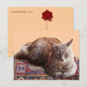 CARTE POSTALE CHAT TURC SUR LE VIEUX TAPIS (Devant / Derrière)