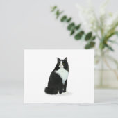 Carte Postale Chat Tuxedo à Poils Longs (Debout devant)