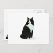 Carte Postale Chat Tuxedo à Poils Longs (Devant / Derrière)