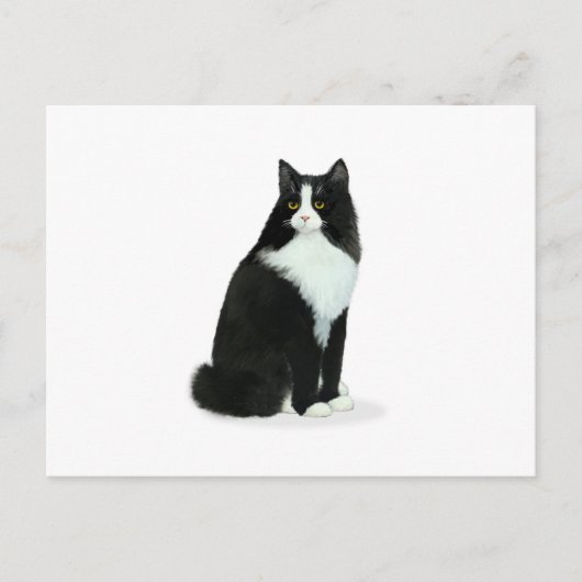 Carte Postale Chat Tuxedo à Poils Longs (Devant)