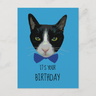 Carte Postale Chat Tuxedo noir et blanc - C'est votre anniversai