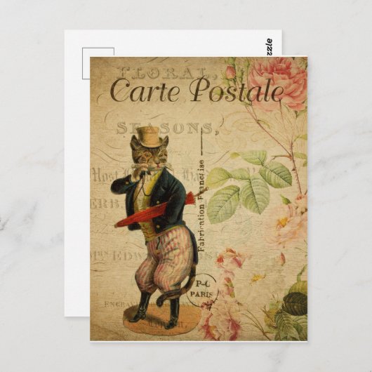Carte Postale. Chat vintage. (Devant / Derrière)