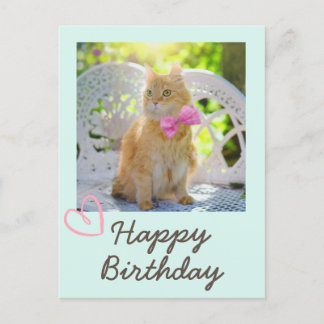 Carte Postale Chat vintage au ruban et Joyeux Anniversaire 
