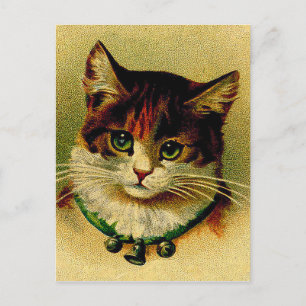 Carte Postale Chat vintage aux yeux verts avec cloches à genoux