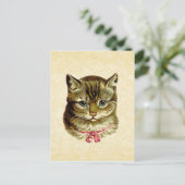 Carte Postale Chat vintage avec chou rose (Debout devant)
