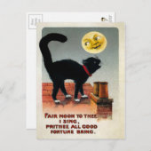 Carte Postale Chat vintage et Lune (Devant / Derrière)