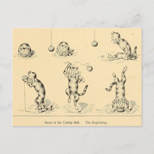 Carte Postale Chat vintage Funny (Devant)