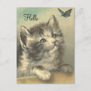 Carte postale - Chat vintage regardant un papillon