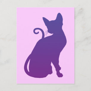 Carte Postale Chat Violet