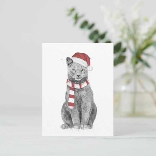 Carte Postale chat Xmas (Debout devant)