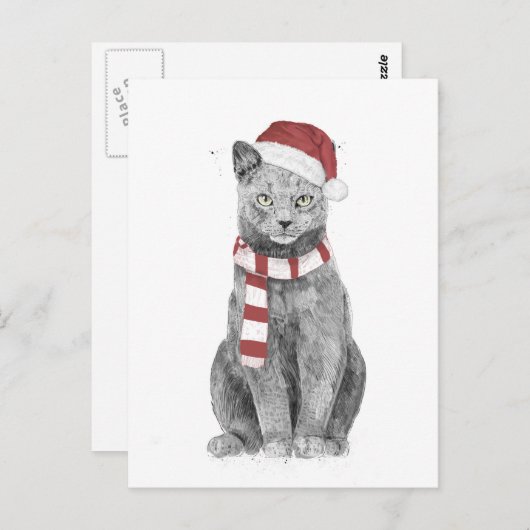 Carte Postale chat Xmas (Devant / Derrière)