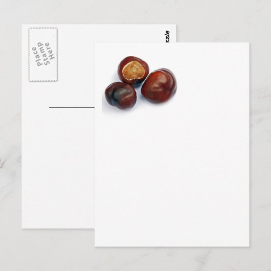 Carte Postale châtaigne (Devant / Derrière)