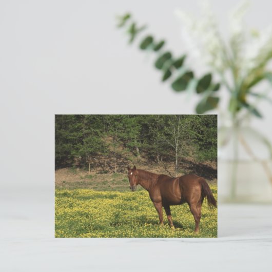 Carte Postale Châtaigne en Fleurs Jaunes (Debout devant)