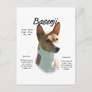 Carte Postale Châtaigner Basenji Histoire Design Tout sur Basenj