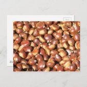 Carte Postale châtaignes-211079 châtaignes châtaignes et châtaig (Devant / Derrière)