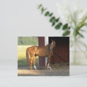 Carte Postale Châtaignier (Debout devant)