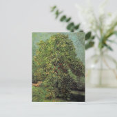 Carte Postale Châtaignier en Fleur, Vincent van Gogh (Debout devant)