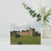Carte Postale Château d'Alnwick (Debout devant)