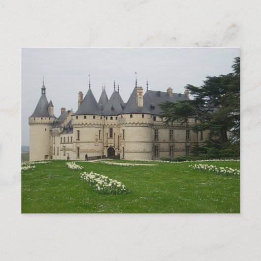 Carte Postale Château de Chaumont s/Loire - (Devant)