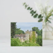 Carte Postale Château de Fairy Tale caché dans la forêt (Debout devant)