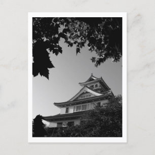 Carte Postale Château de Hikone : Japon