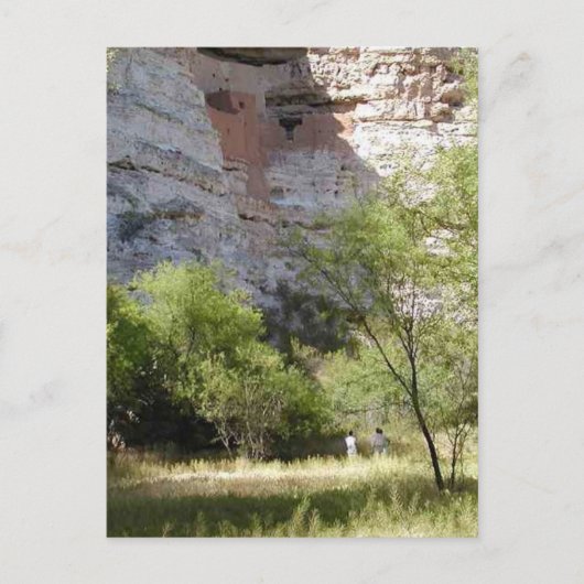 Carte Postale Château de Montezuma Cliff Arbres indiens en herbe (Devant)