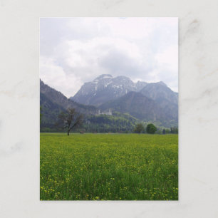 Carte Postale Château de Neuschwanstein