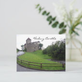 Carte Postale château de vaduz vert (Debout devant)