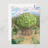 Carte Postale Château des Arbres Enchantées (Devant / Derrière)