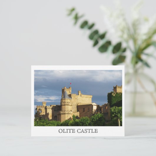 Carte Postale Château d'Olite (Debout devant)