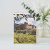 Carte Postale Château Du 15E Siècle Du Duc D'Alburquerque (Debout devant)