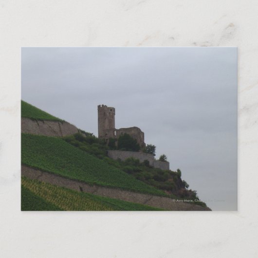 Carte Postale Château du Rhin (Devant)