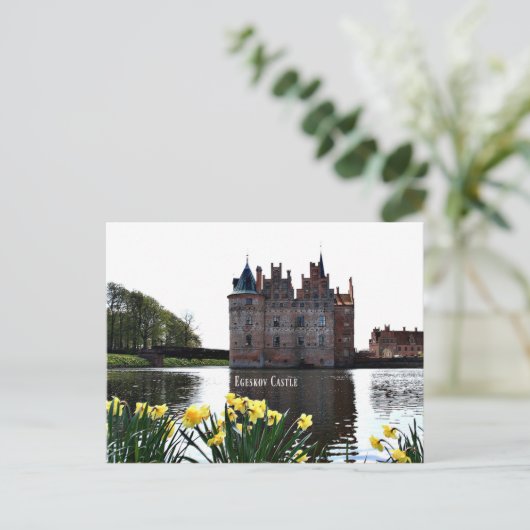 Carte Postale Château Egeskov (Debout devant)