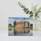 Carte Postale Château Egeskov Egeskov Gade Kvæ rndrup Danemark (Debout devant)