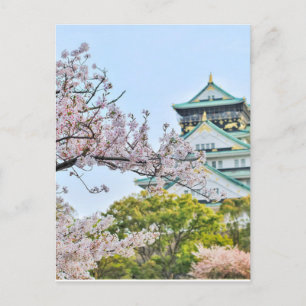 Carte Postale Château Himeji avec fleurs de cerisiers