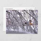 Carte Postale Château Snowy Trees À Lucerne Suisse (Devant / Derrière)