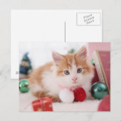 Carte Postale Chaton (Devant / Derrière)