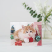 Carte Postale Chaton (Debout devant)