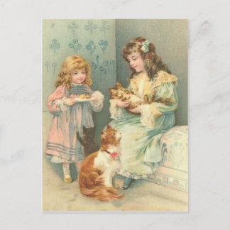 Carte Postale Chaton