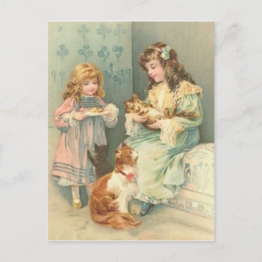 Carte Postale Chaton (Devant)