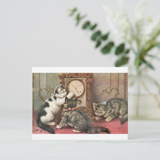 Carte Postale Chaton (Debout devant)