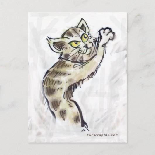 Carte Postale Chaton (Devant)