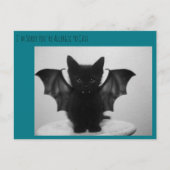 Carte Postale chaton (Devant)